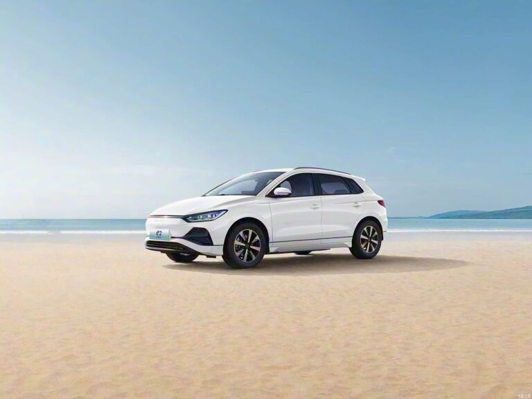 BYD Chinese